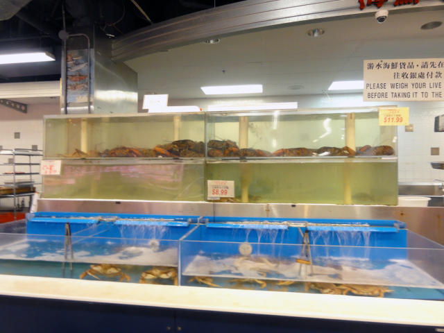 Living Tresures from the sea provided at New Pacific Supermarket